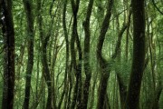 邵洞口，探秘绝美胜地，体验难忘之旅