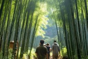 周末探险之旅，柘荣周边秘境探秘攻略