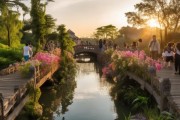 台州花桥秘境之旅，揭秘不可错过的旅游打卡地