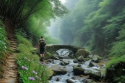 勉县秘境之旅，探寻不可错过的旅游宝藏