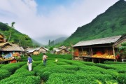普洱风情之旅，探秘美景与地道特产的交汇