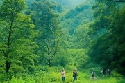 安吉绿意，原生态景区畅游攻略