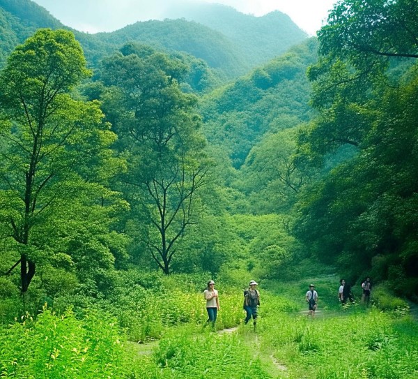 安吉绿意，原生态景区畅游攻略,安吉绿意，原生态景区畅游攻略,旅游胜地,玻璃桥,江南,第1张